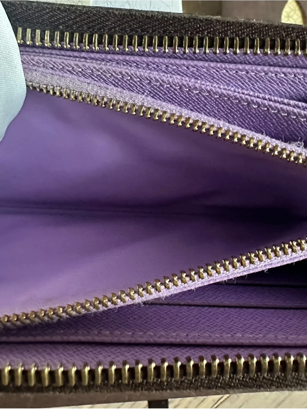 Louis Vuitton Damier Ebene Evasion Zippy Wallet Limited Edition Purple Full Set
